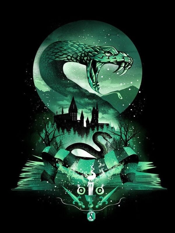 Harry Potter and the Heir of Slytherin