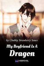 My Boyfriend Is A Dragon Novel