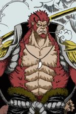 One Piece: Chaos Kong