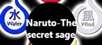 Naruto- Secret Sage